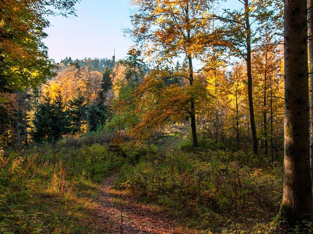 Herbst im Wiesental