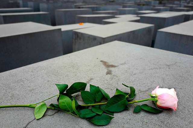 Eine Rose liegt auf dem Holocaust-Mahn... des Gedenkens an die Novemberpogrome.  | Foto: AFP