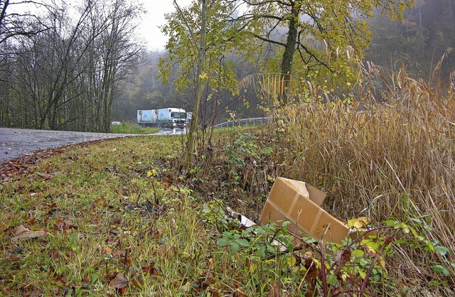 Auch wegen der Angst vor wilder Mllab...ab Januar 2019 nur sehr mig erhht.   | Foto: Heinz J. Huber