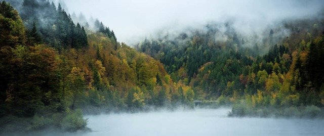 Wehr ist umgeben von Wald. Mystisch si...eser bei Nebel am Wehrer Stausee aus.   | Foto: Marcel Kpfer