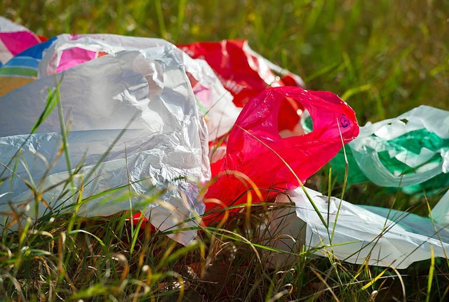 Plastiktten haben einen schlechten Ruf &#8211; zu Recht?  | Foto: Patrick Pleul