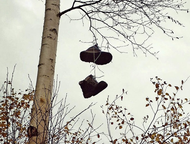 Schuhe hngen in luftiger Hhe an einer  Birke.   | Foto: Liane Schilling