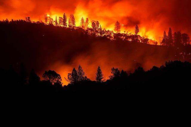 Mindestens 31 Tote bei Waldbrnden in Kalifornien - Promi-Ort Malibu evakuiert
