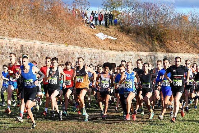 Premiere der Breisgauer Crosslaufserie im Elsass