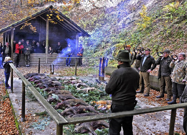 Wildschweine nehmen am Blauen berhand... der erlegten Tiere zum Ausdruck kam.   | Foto: Pinkawa