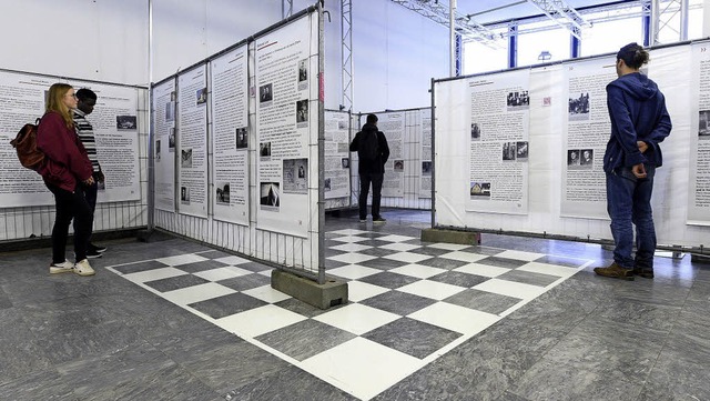 Die Ausstellung &#8222;Naziterror gege...hule an der Friedrichstrae zu sehen.   | Foto: Thomas Kunz