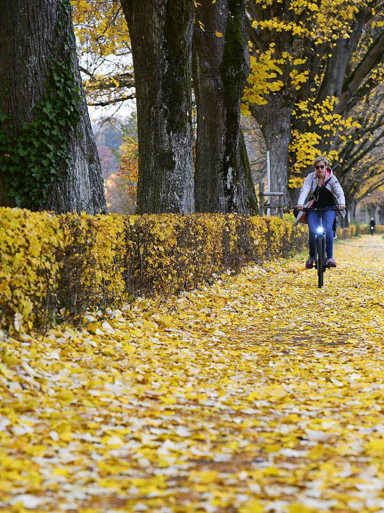 Herbstliche Farben in Freiburg