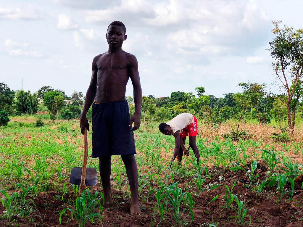 Feldarbeit inTogo:Moderne landwirtschaftliche Gerte gibt es in dem westafrikanischen Land fr die einfache Bevlkerung nicht.
