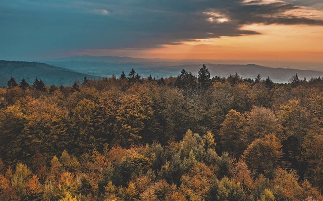 Gerade noch rechtzeitig vor der Regenf...park bei Ettenheim-Wallburg einfangen.  | Foto: Michael Sauer