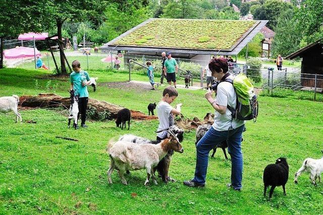 Schwarzwaldzoo