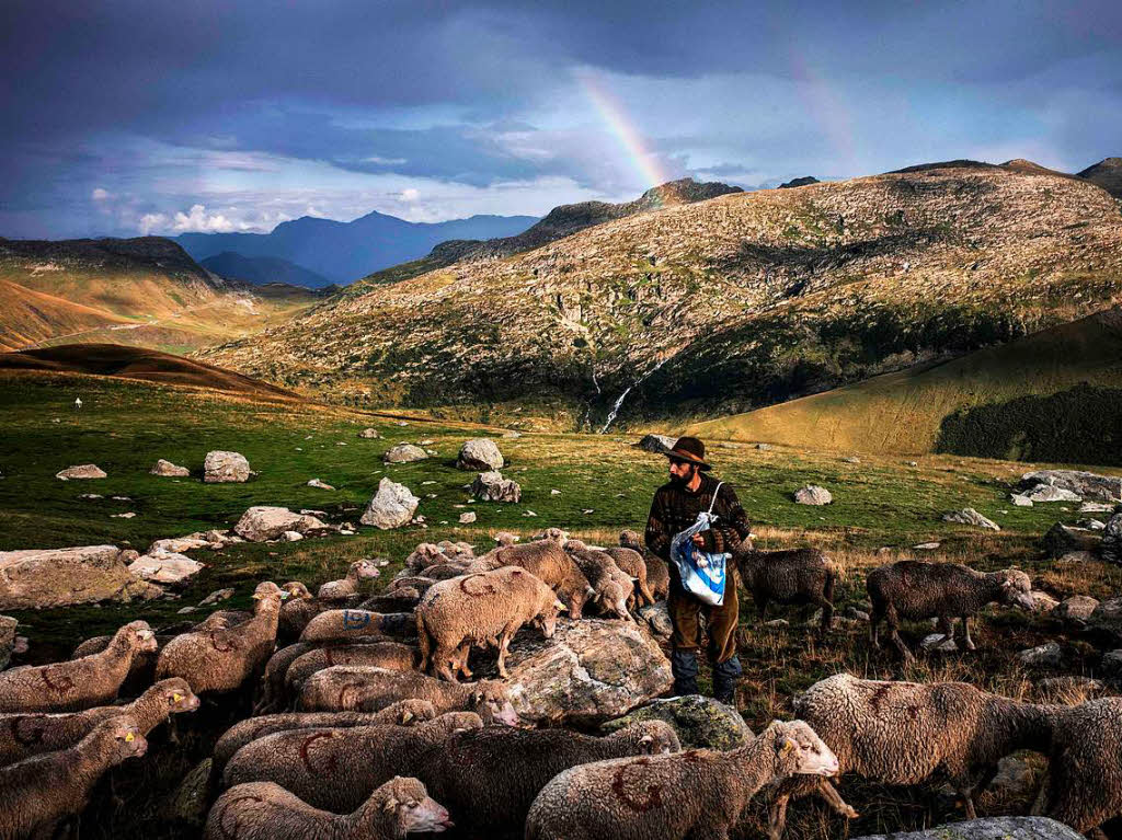 Der Schfer Gaetan Meme verbringt den Sommer von Juni bis Oktober mit seiner Herde in den franzsischen Alpen nahe des Col du Glandon.