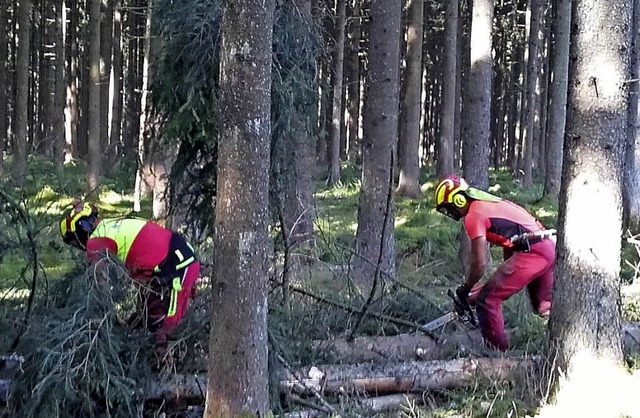 Der Holzeinschlag soll 2019 im Brunli...links) und Hauke Jrs bei der Arbeit.   | Foto: Reinhard Merz