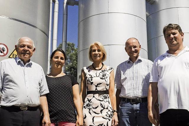 Biogas aus Wind- und Sonnenstrom