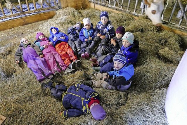 Gemeinsam im Heu liegen &#8211; das mgen die Kinder.  | Foto: Tanja Bury