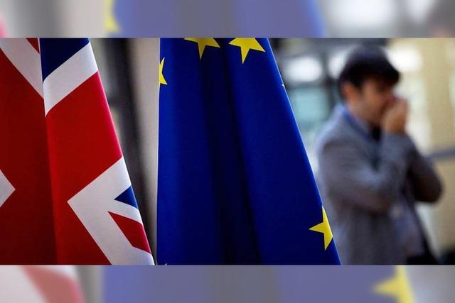 EU beruft Brexit-Sondergipfel ein – Rücktritte im Kabinett von Theresa May