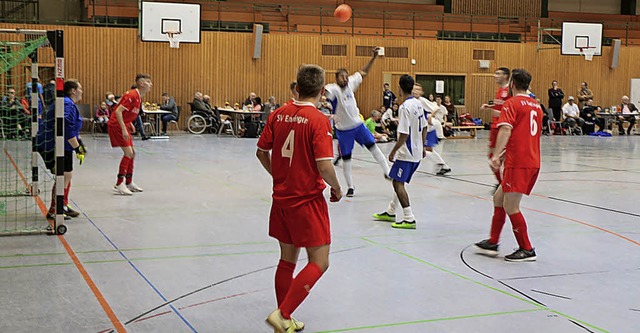 Sieben Teams spielten beim Turnier in der Stadthalle.    | Foto: Helmut Hassler