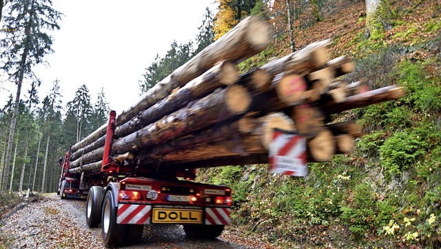 Die Langholzfahrzeuge sind derzeit nah...tmme zum Sgewerk zu transportieren.   | Foto: Horst Dauenhauer