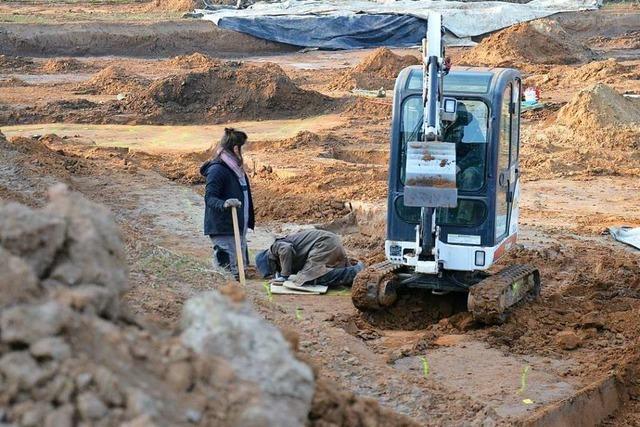Archäologen entdecken Abfälle aus der Bronzezeit in Ettenheim