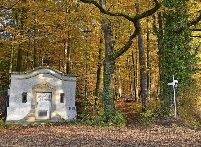 Die Jugend will einen Singletrail im Rmminger Wald bauen.   | Foto: Horst Donner