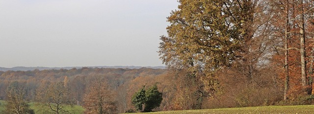 Herbststimmung ber dem Schallbacher Gemeindewald   | Foto: Rolf Rhein
