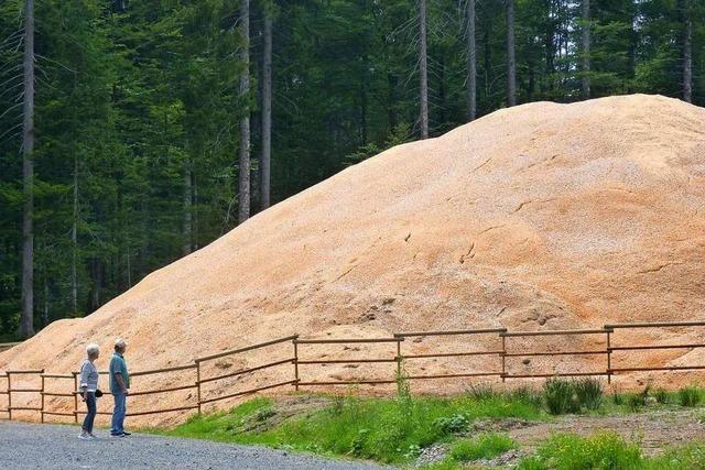 Snowfarming? Ganz schn pfiffig!