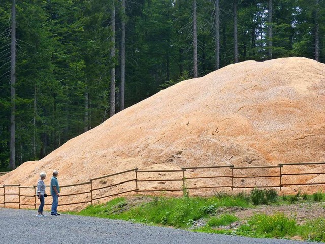 Der Schneehgel, mit Holzspnen verkleidet.  | Foto: Sattelberger