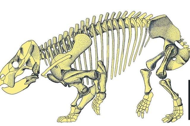 Urahn der Sugetiere hatte die Gre eines Elefants und die Statur eines Nashorns