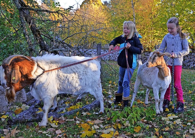 Isabell (links) und Sophie haben gut z..., die beiden Ziegen im Zaum zu halten.  | Foto: Fotos: Sarah Trinler