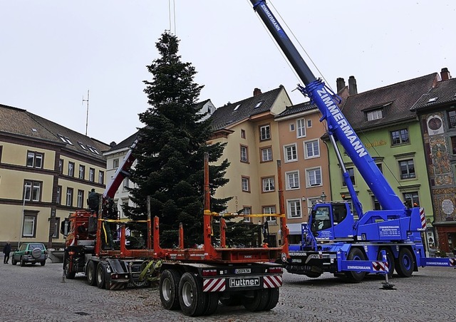 Der 18 Meter hohe Weihnachtsbaum muss ...en mit einem Kran aufgestellt werden.   | Foto:  Tamara Keller