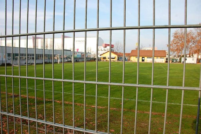 Wie viel Platz brauchen die Friedlinge... gehen dazu die Meinungen auseinander.  | Foto: Herbert Frey