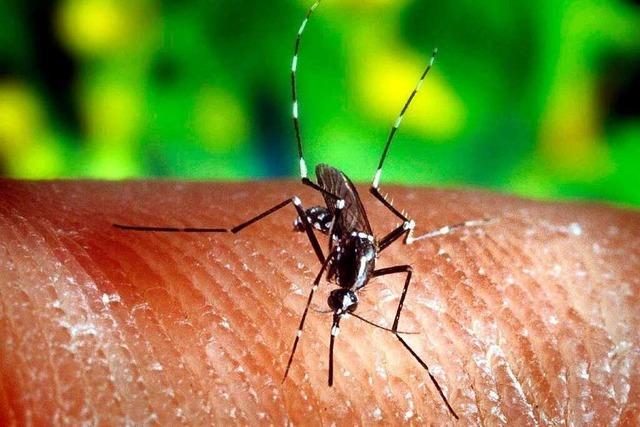 Wie gefhrlich ist Malaria?
