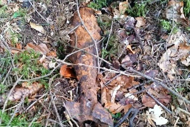Immer wieder finden Wanderer Granaten im Schwarzwald – ein Grund zur Sorge?