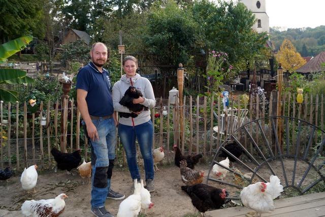 Von Schliengen nach Mllheim: Neue Bleibe fr Rebecca Benz und ihre Tiere