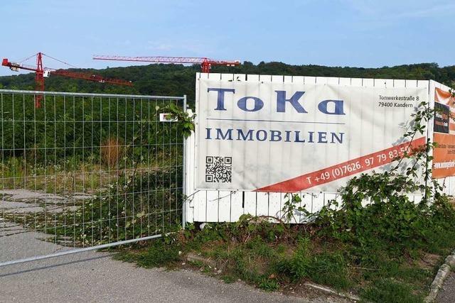 Immobilienfirma Toka prüft Verkauf des Projektes am Hörnle