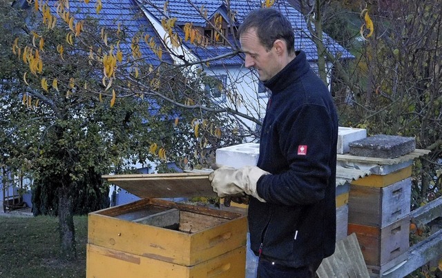 Imker Michael Wrner schaut nach seinen Bienen.   | Foto: Privat