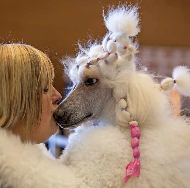 Wer seinen Hund liebt, muss   tiefer i...n Euro flieen 2019 ins Mhleareal.     | Foto: Michael Reichel (dpa)/Elisabeth Willers