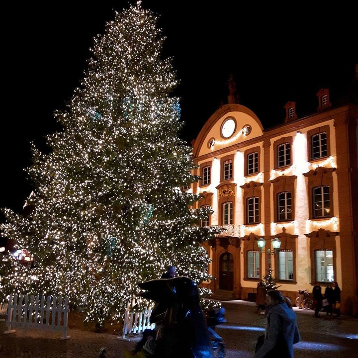 Die Stadt Offenburg zeigt dagegen: So geht Weihnachtsbaum.  | Foto: Hubert Rderer