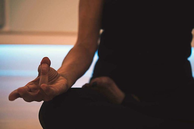 Vom 1. bis zum 16. September bieten Fr...hrer wieder Yogastunden gegen Spenden.  | Foto: JD Mason (Unsplash)