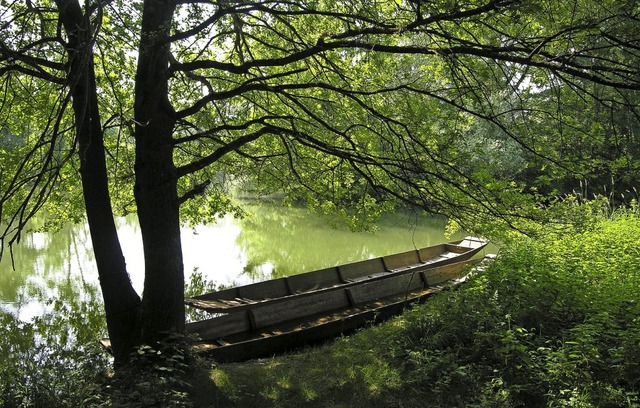 Unberhrte Natur im Taubergieen, laut Nabu soll das so bleiben.   | Foto: W.  Hoffmann