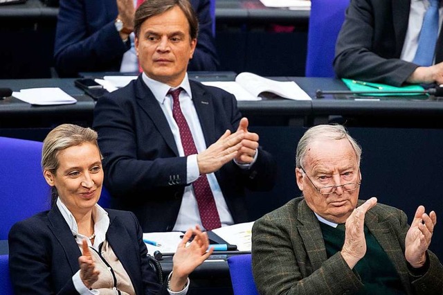 Die Fraktionsvorsitzenden Alice Weidel...r der  AfD-Abgeordnete Bernd Baumann.   | Foto: DPA