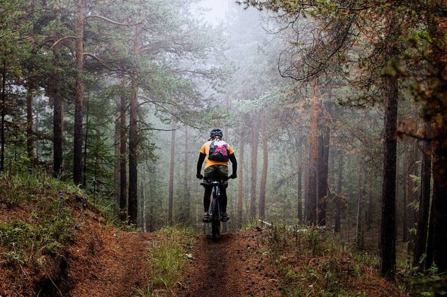 Mountainbiker drfen im Wald nur auf W...d. Doch daran halten sich nur  wenige.  | Foto: Sportpoint74