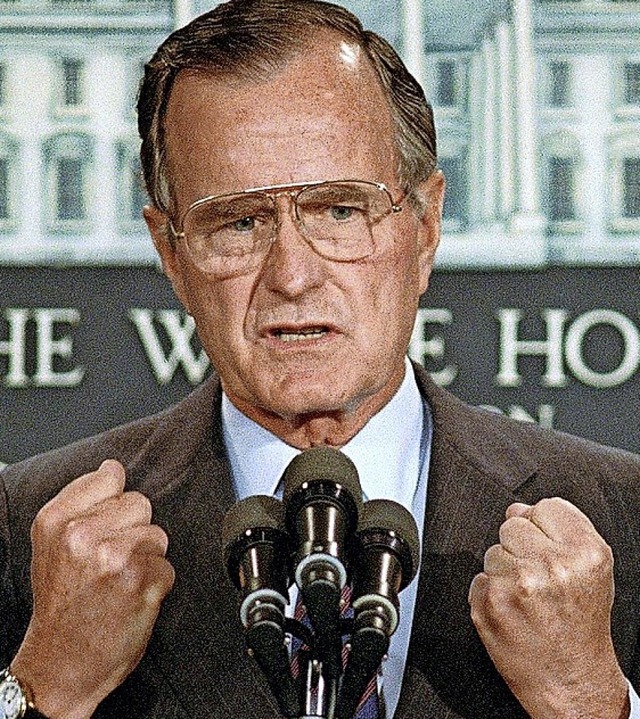George Bush  | Foto:  DPA