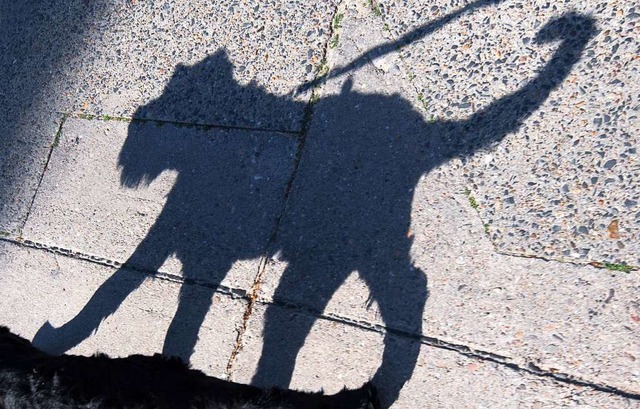 Hund und Herrchen wollen ber den Zebr...lag ins Gesicht verpasst (Symbolfoto).  | Foto: dpa