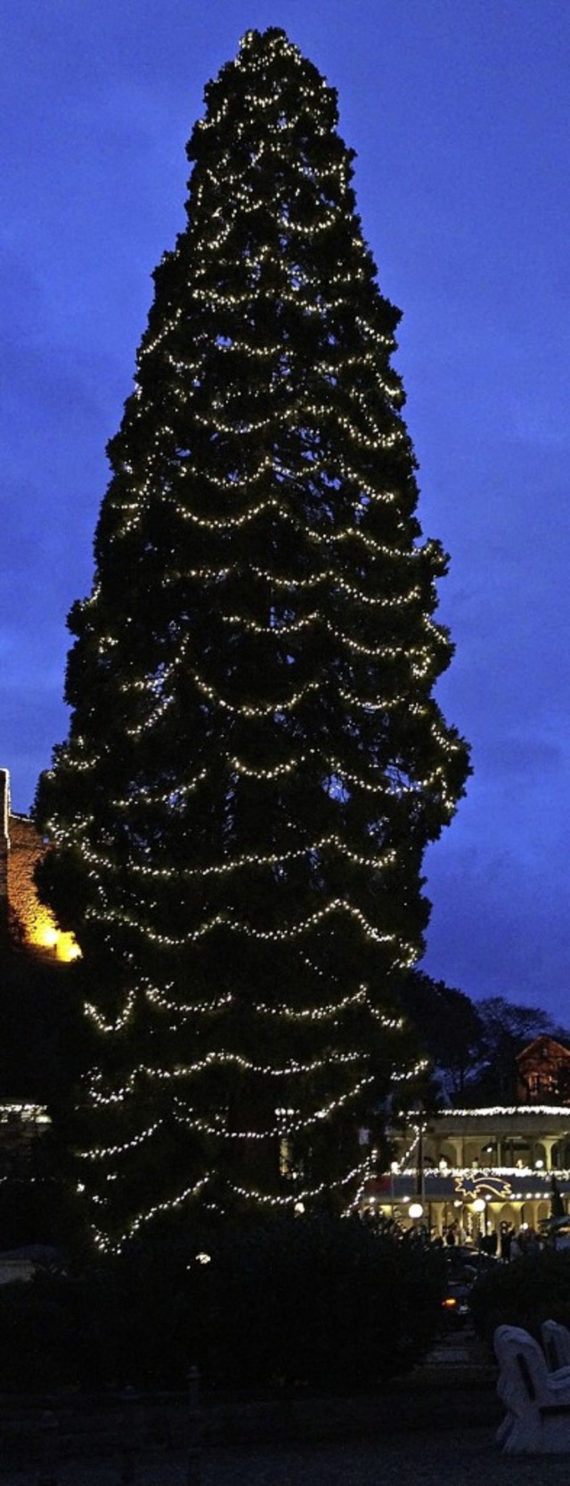 Badenweiler hat eine neue Attraktion: ...tbaum in weihnachtlichem Lichterglanz.  | Foto: Sil