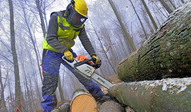 Ein Waldarbeiter zersgt bei Ehrenstetten Brennholz.   | Foto: Gollrad