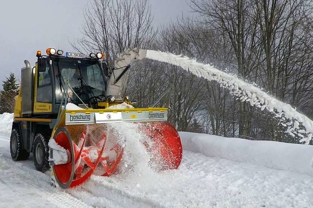 23 Winterdienstfahrzeuge haben die bei...enmeistereien im Landkreis im Einsatz.  | Foto: Landratsamt