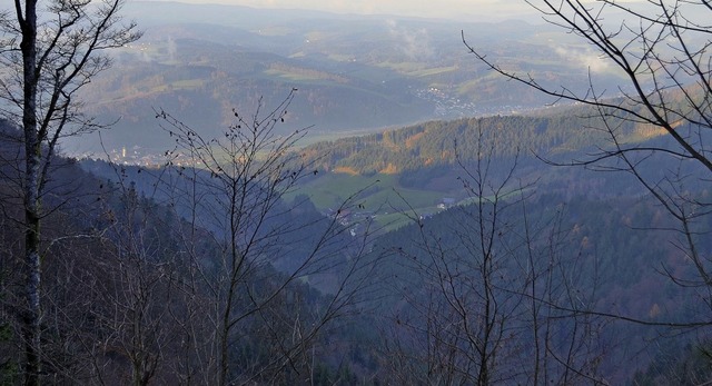 Zwischen Hrnleberg und Tafelbhl ruht...anzukommen und es abzutransportieren.   | Foto: Nikolaus Bayer