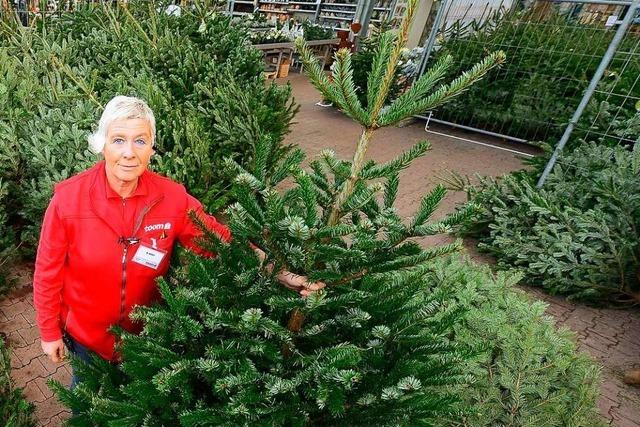 Woran sind Weihnachtsbume zu erkennen, die kologisch und fair produziert wurden?