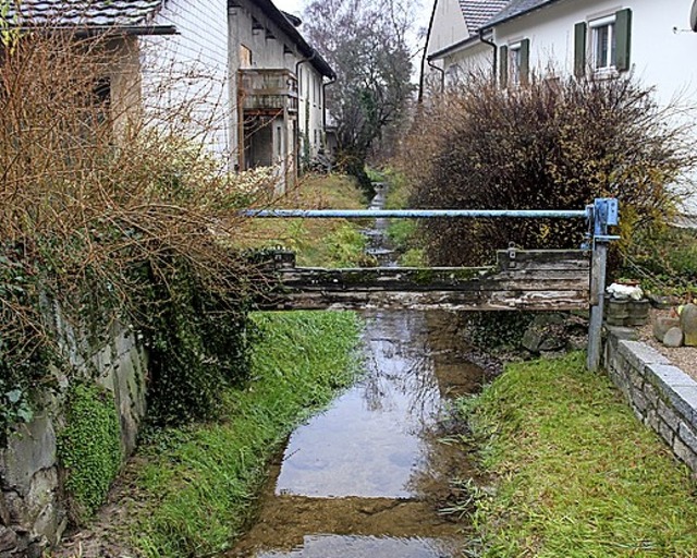 Die Stellfalle im Haselbach   | Foto: Cremer