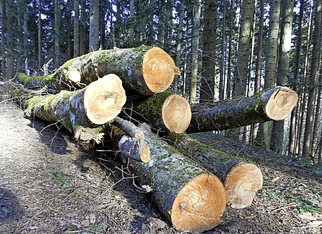 Holz im Wald  | Foto: Archivbild: Langelott